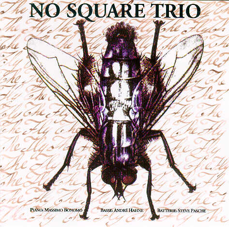 No Square Trio - The Fly